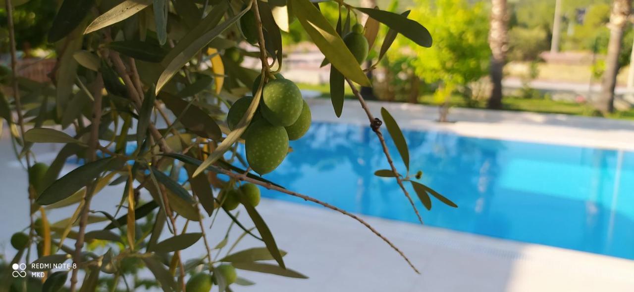 Green Garden Otel Kemer Exterior photo